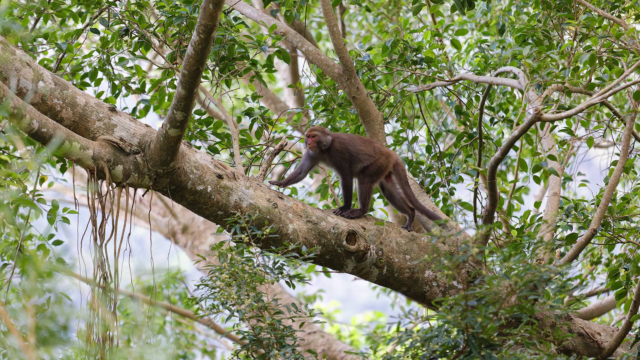 07 - Chishang (4).jpg